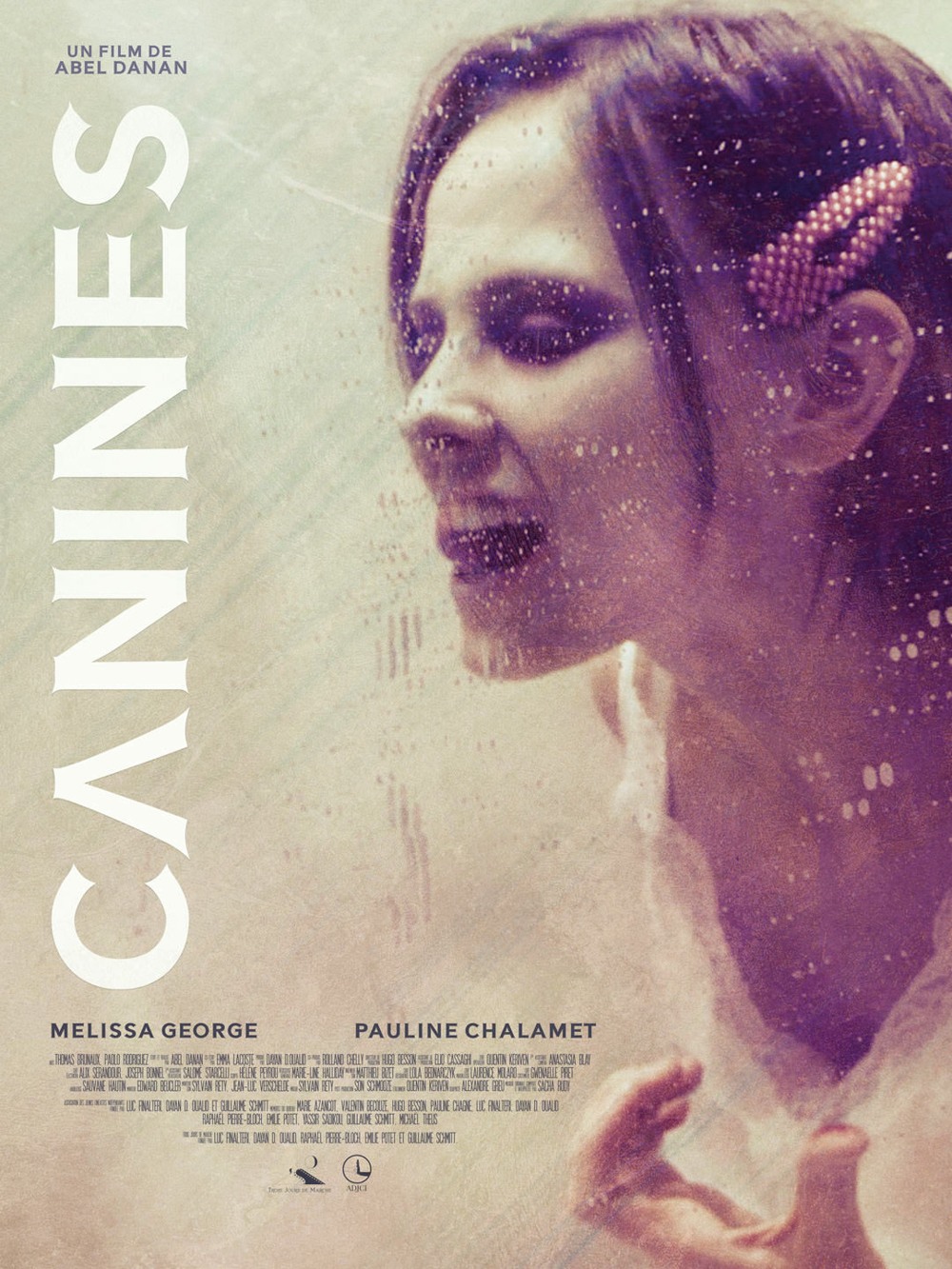 Affiche du film Canines